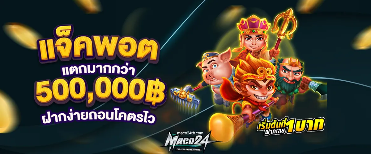 maco24
